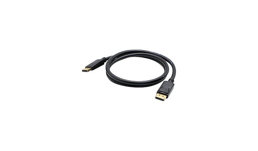 Proline DisplayPort cable - 1 ft