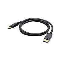 Proline DisplayPort cable - 1 ft