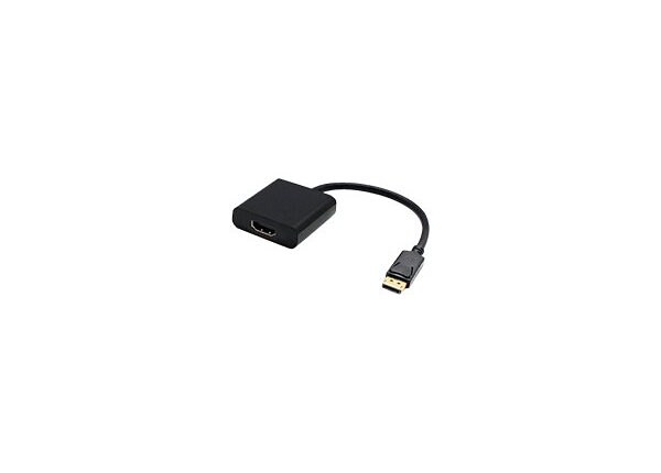 Proline HDMI adapter - DisplayPort / HDMI - 7.9 in
