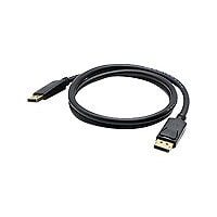 Proline DisplayPort cable - 20 ft