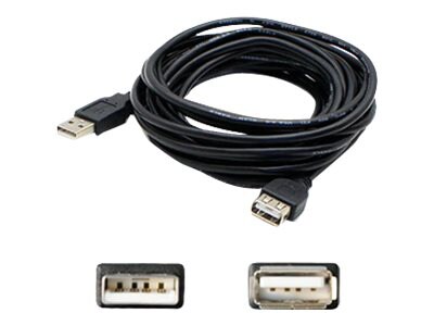 Proline - USB cable - USB Type B to USB - 6 ft
