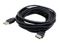 Proline 10ft USB 2.0 (A) Male to Female Black Cable