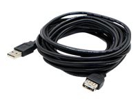 Proline USB extension cable - 10 ft