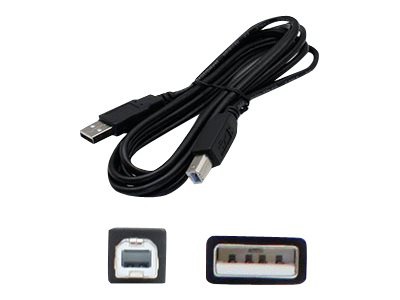 Proline USB cable - 10 ft