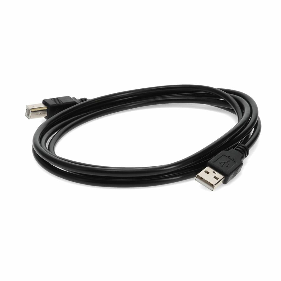 Thumbnail 2 of 9 for Proline 15ft USB 2.0 (A) Male to USB 2.0 (B) Male Black Cable