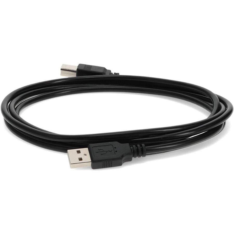 Thumbnail 3 of 9 for Proline 15ft USB 2.0 (A) Male to USB 2.0 (B) Male Black Cable