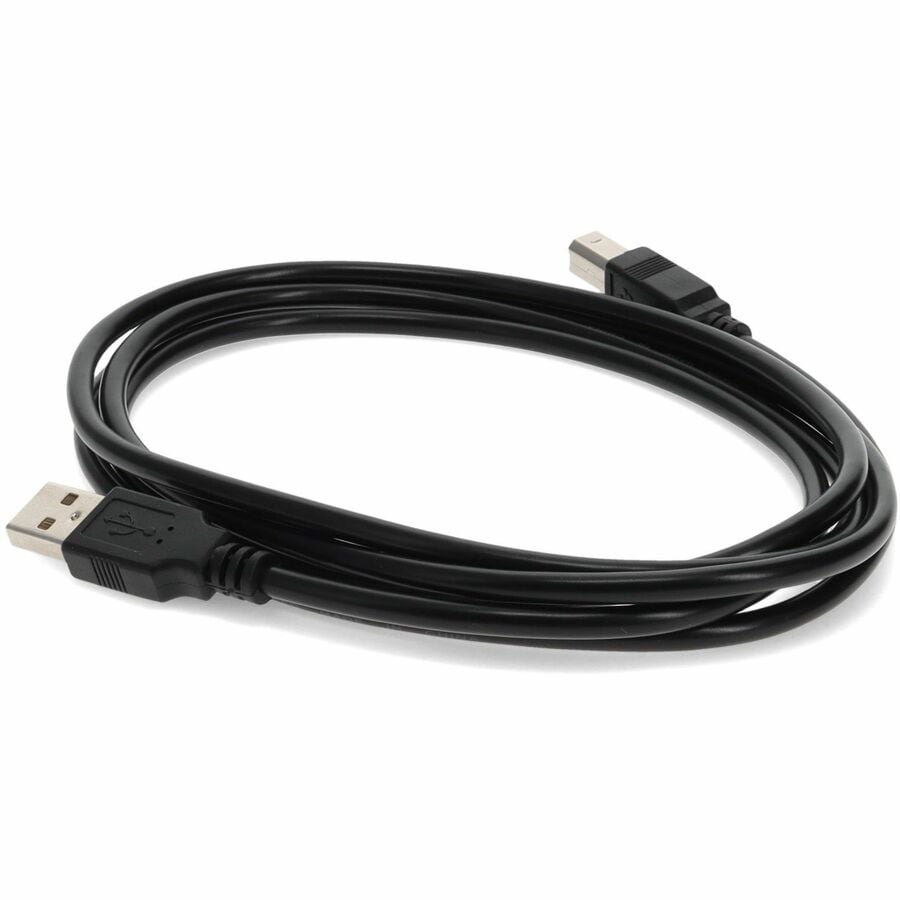 Thumbnail 4 of 9 for Proline 15ft USB 2.0 (A) Male to USB 2.0 (B) Male Black Cable