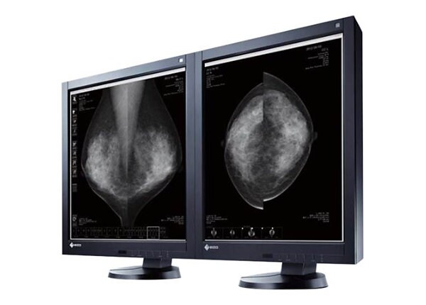 EIZO RadiForce GX540 Dual Head - LED monitor - 5MP - grayscale - 21.3" - with NVIDIA Quadro M2000 graphics adapter