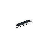 DataTel Cable Manager D-Ring - cable management arm - 2U - 19"