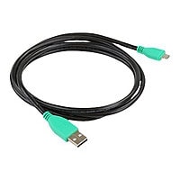 Ram GDS - USB cable - USB to Micro-USB Type B - 4 ft