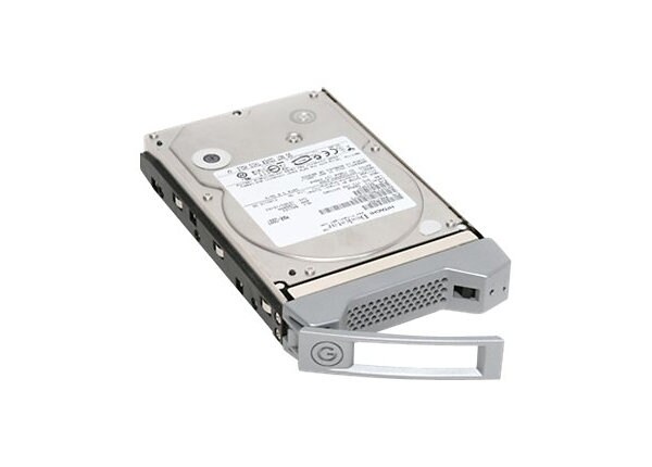 G-Technology Enterprise Spare Module GSPSW40001BAA - hard drive - 4 TB - SATA 6Gb/s