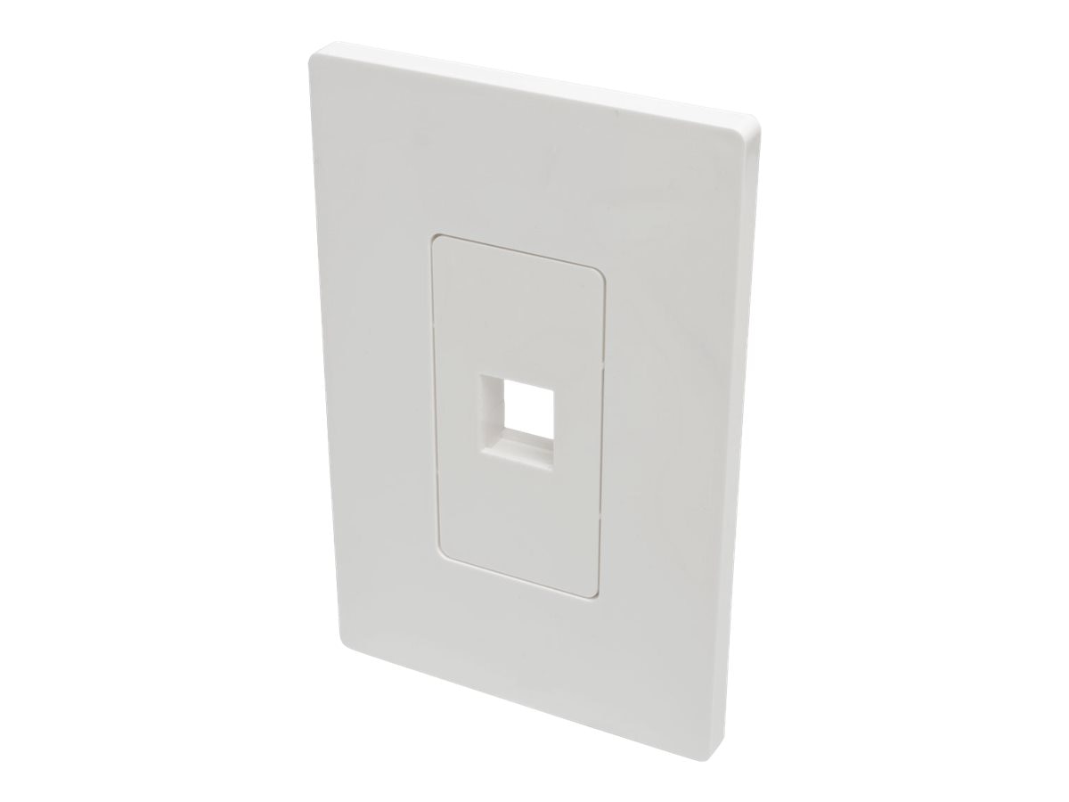 Tripp Lite Single-Gang 1-Port Wallplate Keystone Cat5/6 USB/HDMI/DP/RCA TAA