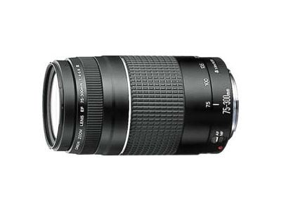 Canon telephoto zoom lens - 75 mm - 300 mm