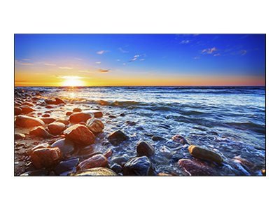 NEC MultiSync UN551S 55" LED-backlit LCD display - Full HD