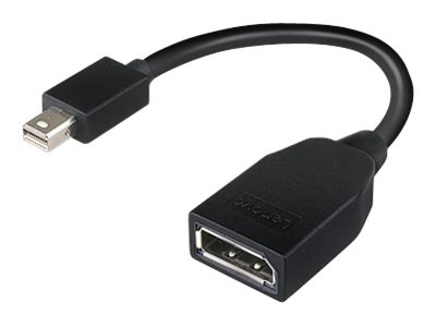 Lenovo DisplayPort adapter - 17.6 cm
