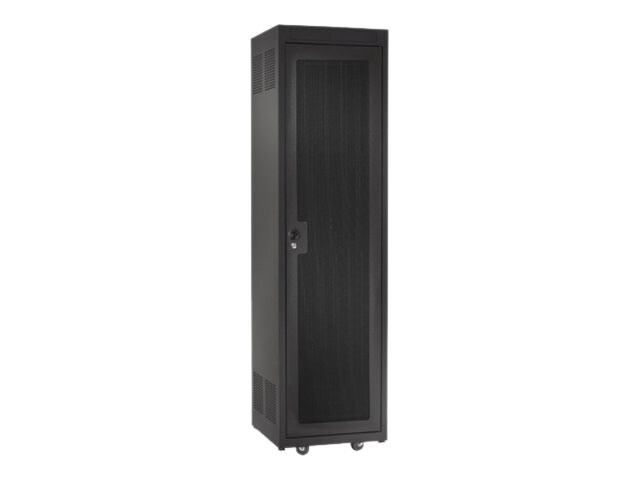 Raxxess NE1D36F - rack door - 36U