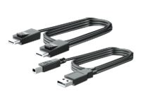 HP 300cm DP and USB B to A Cable for L7016t L7014t and L7010t (V4P96AA)