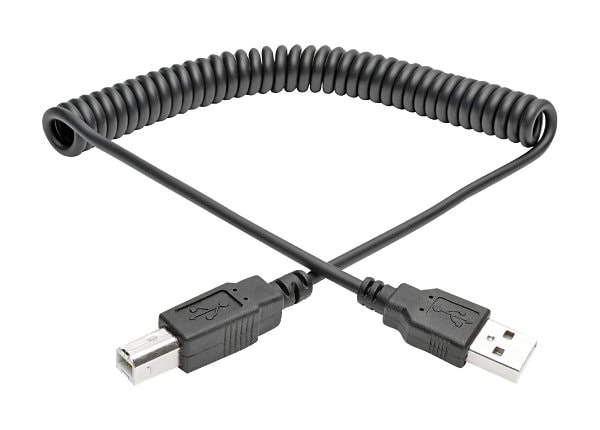 TRIPP  6FT HI-SPEED USB 2.0/B M CAB