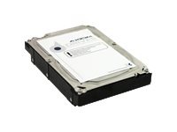 Axiom Enterprise Bare Drive - hard drive - 2 TB - SAS 6Gb/s