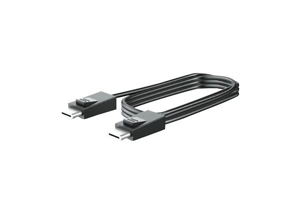 HP DisplayPort cable - 10 ft