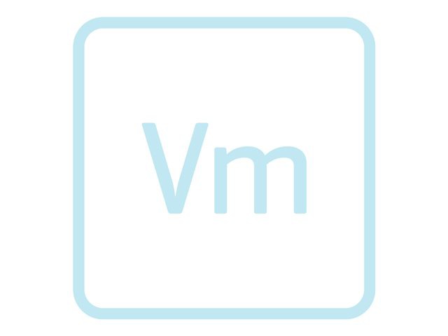 SNOW VIRT MGT OPT MNT 1Y 10K-19999