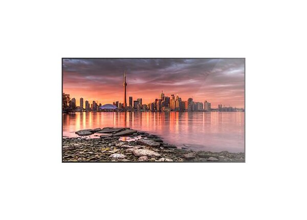 Christie FHD552-XV Performance Series - 55" Class (54.6" viewable) LED display