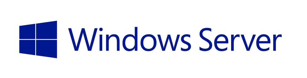 Microsoft Windows Server Standard Edition - license - 2 cores