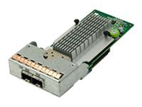 Infortrend - host bus adapter - 10 Gigabit SFP+ x 2