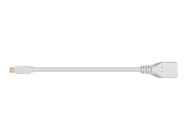 SIIG DisplayPort adapter - 9.4 in