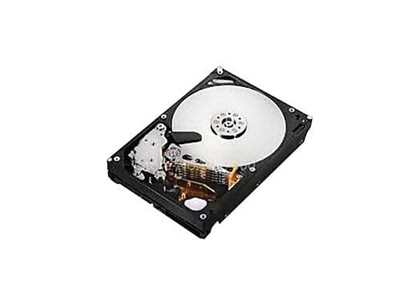 Lenovo Enterprise - hard drive - 2 TB - SATA 6Gb/s
