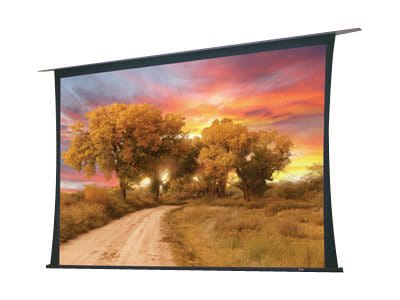 Draper Access/Series V Electric 16:9 HDTV Format - projection screen - 220"
