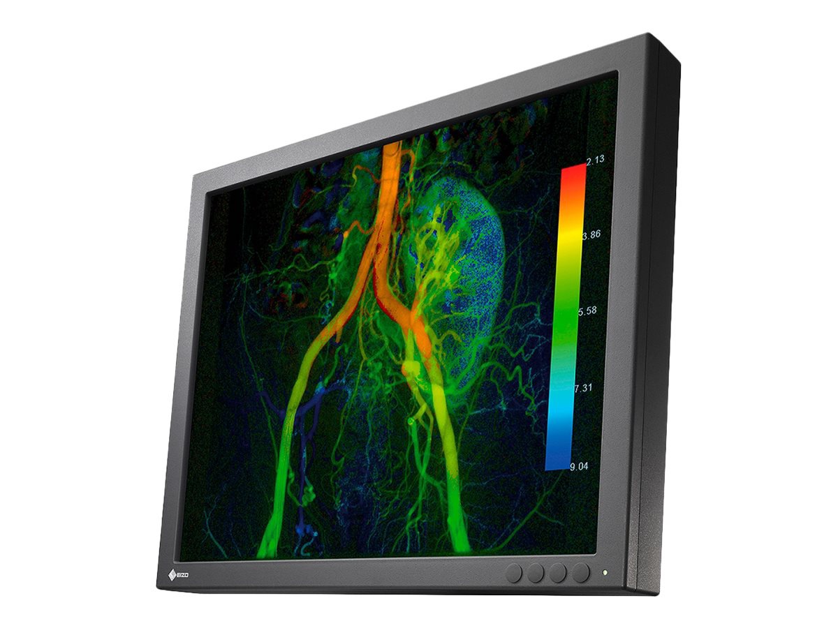 EIZO CuratOR EX190-S - without stand - LED monitor - 1MP - color - 19"