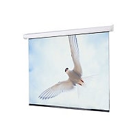 Draper Targa 16:9 HDTV Format - projection screen - 161" (161 in)