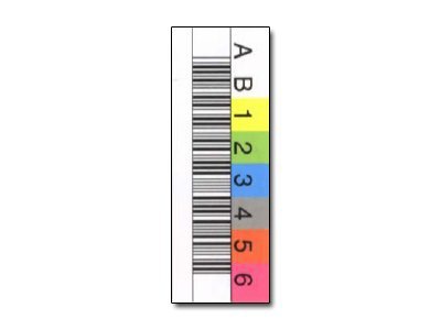 EDP DLT BARCODE LABEL 8 CHARACTERS HORIZONTAL