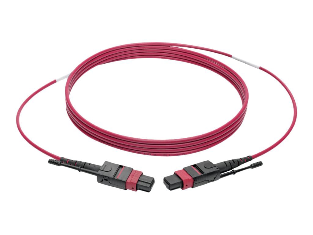 Tripp Lite 1M MTP MPO Multimode Patch Cable 12 Fiber 40/100Gb OM4 50 CMP