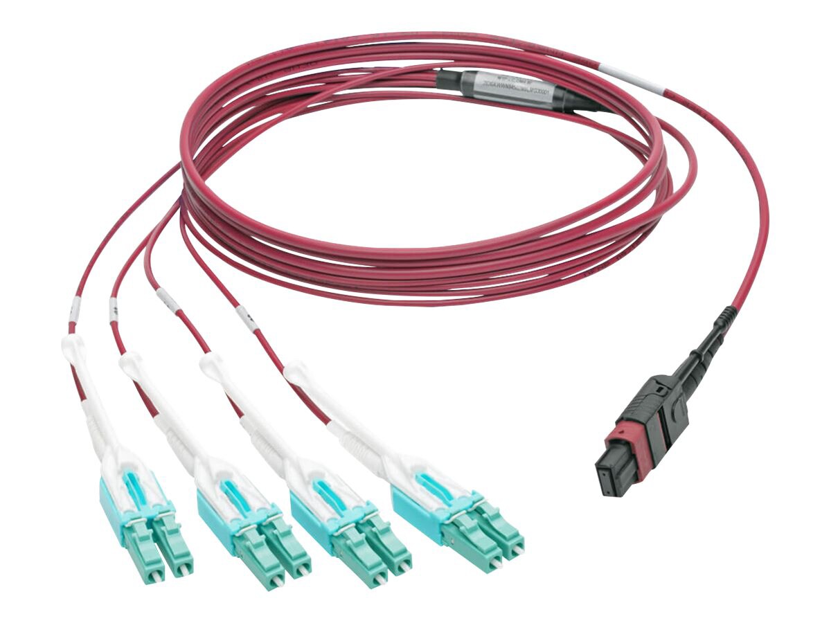 Tripp Lite MTP/MPO to 8xLC Fan-Out Patch Cable, 40 GbE, 40GBASE-SR4, OM4 Plenum-Rated, Push/Pull Tab, Magenta, 1 m (3.3