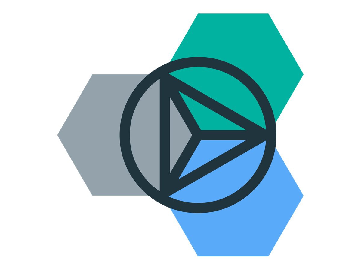 IBM Bluemix Platform 1 US Dollar - subscription license (1 month) - 1 licen