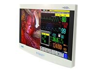 RADIANCE ULTRA - LCD monitor - Full HD (1080p) - color - 31.5"