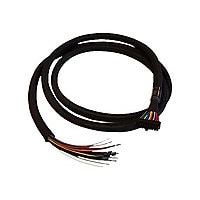 Cradlepoint - GPIO cable - 20 pin dual row Molex to bare wire - 6.5 ft