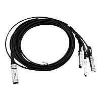 Axiom direct attach cable - 1 m