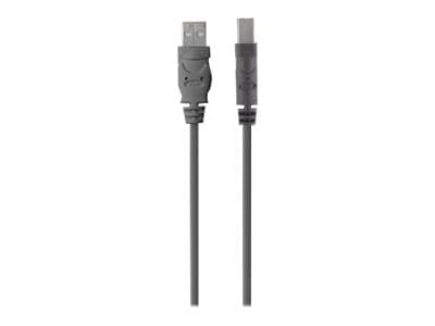 Belkin Premium Printer Cable - USB cable - USB Type B to USB - 10 ft