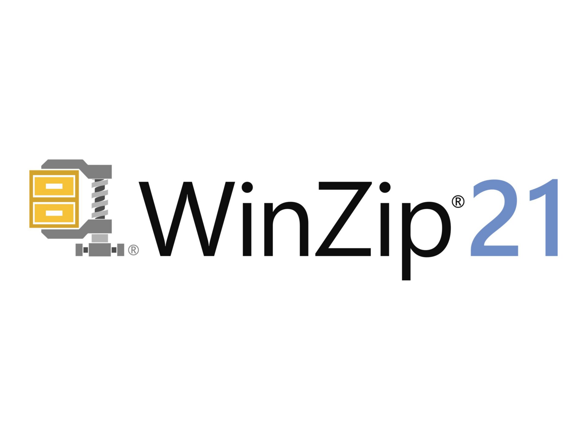 WinZip Standard (v. 21) - license - 1 user