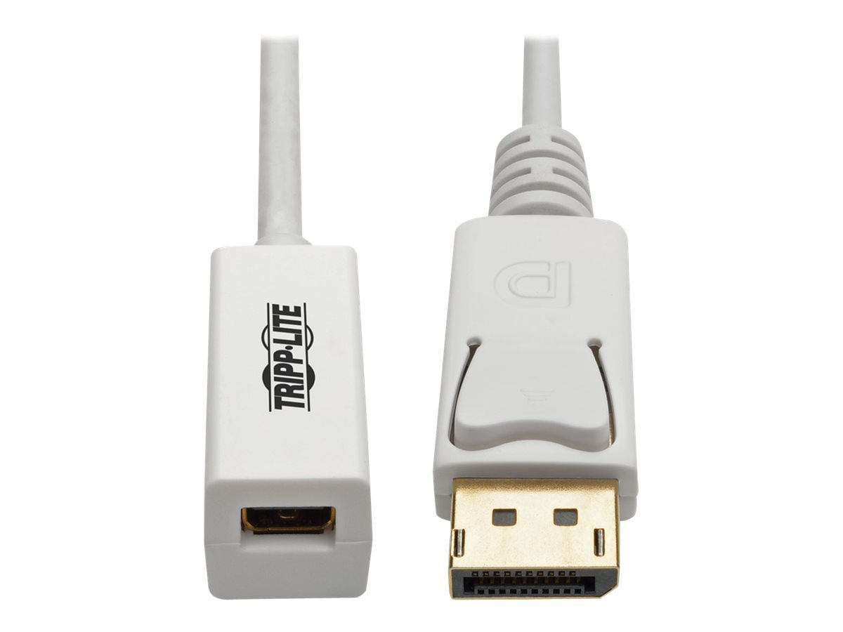Tripp Lite 6in DisplayPort to Mini DisplayPort Adapter Cable 4k x 2k @ 60Hz M/F 6" - DisplayPort adapter - 6 in
