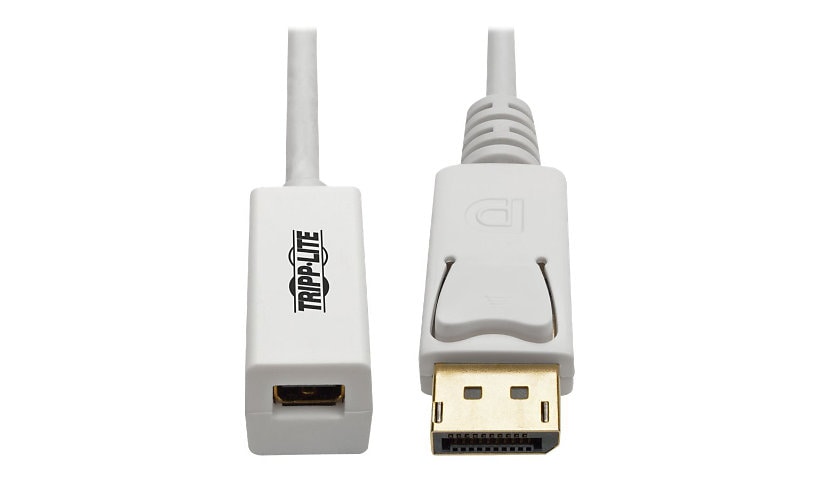 Tripp Lite 6in DisplayPort to Mini DisplayPort Adapter Cable 4k x 2k @ 60Hz M/F 6" - DisplayPort adapter - 6 in