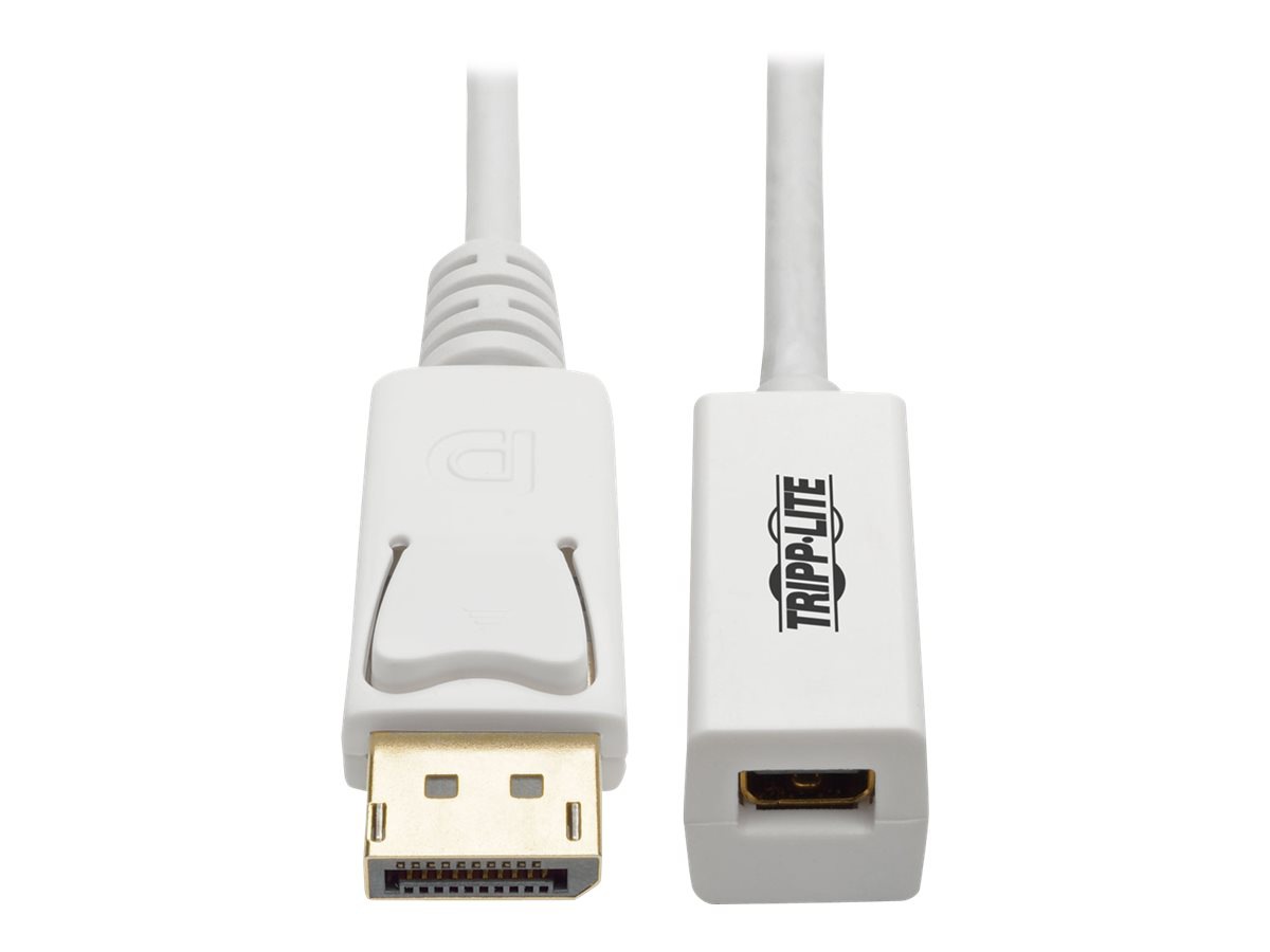 Tripp Lite 3ft DisplayPort to Mini DisplayPort Adapter Cable 4k x 2k @ 60Hz M/F 3' - DisplayPort extension cable - 3 ft