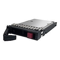 Total Micro - hard drive - 300 GB - SAS