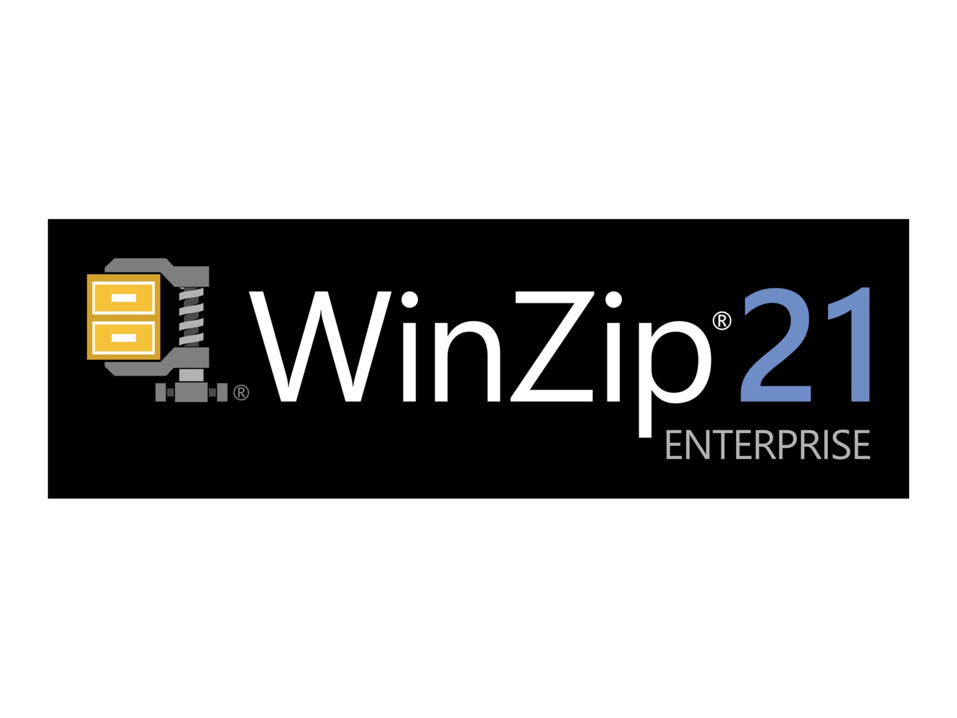 WinZip Enterprise (v. 21) - upgrade license + 1 Year Maintenance - 1 user