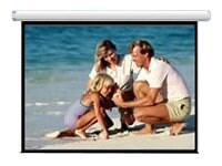 AccuScreens Electric Screen - projection screen - 106 in (105.9 in)