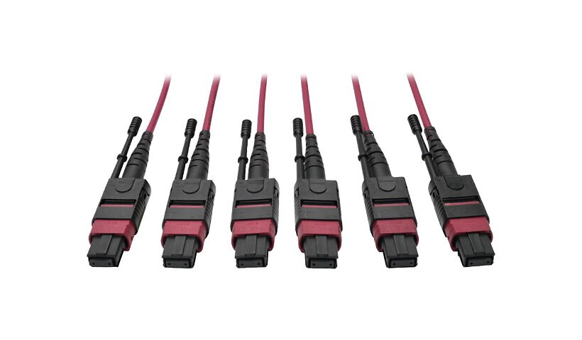 Tripp Lite 24-Fiber MTP MPO OM4 Base-8 MMF Trunk Cable  40/100GbE 3X, 23M