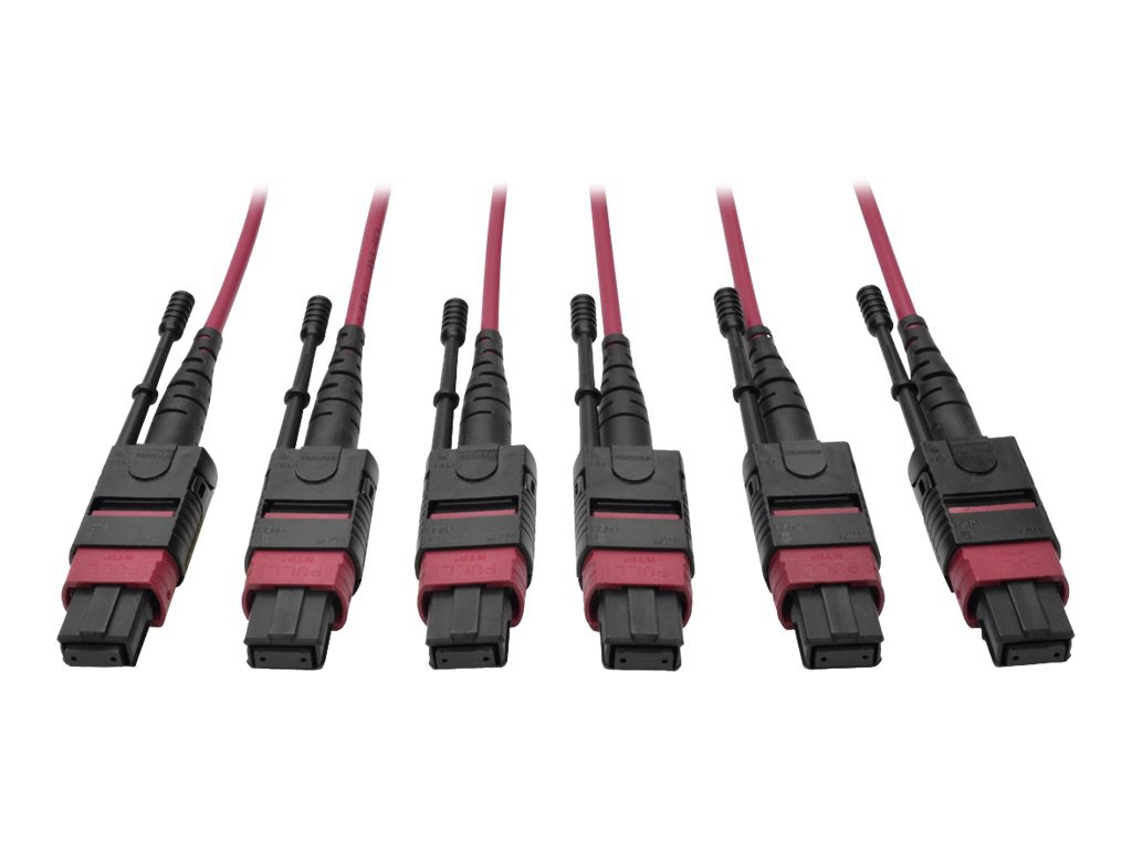 Tripp Lite 24-Fiber MTP MPO OM4 Base-8 MMF Trunk Cable  40/100GbE 3X, 45M